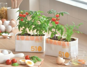 【聖新陶芸】ECO　エッグシェル栽培セット