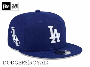NEWERA'STATE OUTLINE  9FIFTY　21949