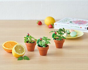【聖新陶芸】はらぺこあおむし　もぐもぐ栽培ガーデンセット
