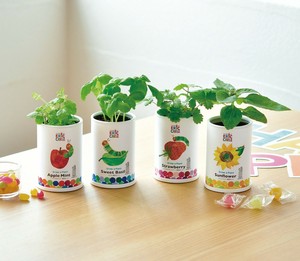【聖新陶芸】はらぺこあおむし　なかよし栽培セット　アップルミント