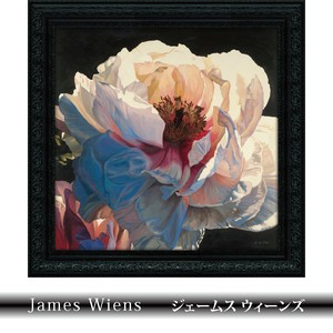 艺术相框 黑 黑色 花朵 精致优雅