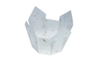 両面　OP珍味入　大（100枚入）