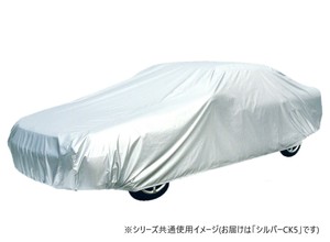 アラデン　ちょっとかけるクン シルバーCK5