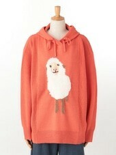 Sweater/Knitwear [A/W]