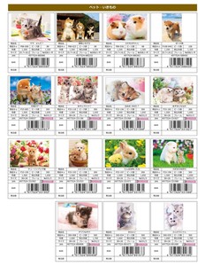 拼图 Jigsaw Puzzle 动物