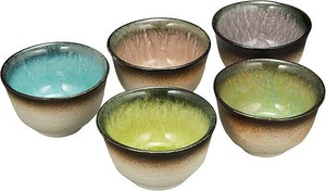 うつわ魯庵　五彩煎茶揃(5入)  520-1002
