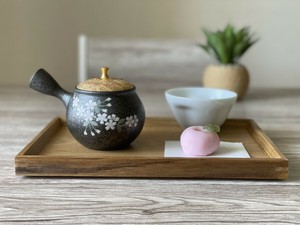 Tokoname ware Japanese Teapot Tea Pot Made in Japan [2024 NEW]