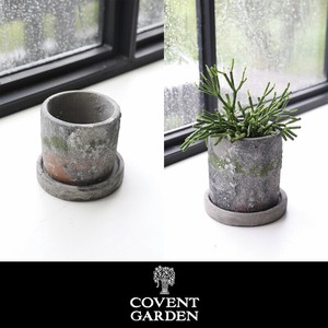 Pot/Planter