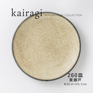 美浓烧 大餐盘/中餐盘 大盘子 餐具 日本制造