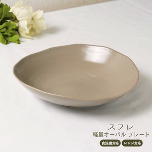 Mino ware Rice Bowl Pottery Dishwasher Safe