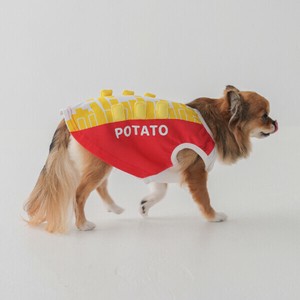 Dog Clothes