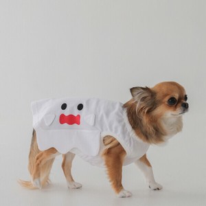 Dog Clothes Ghost