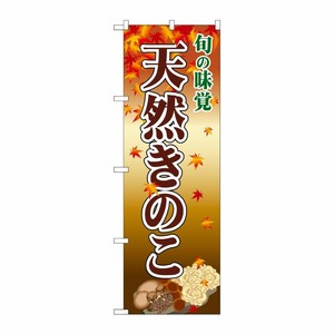 [N] 天然きのこ のぼり No.2764 P・O・Pプロダクツ