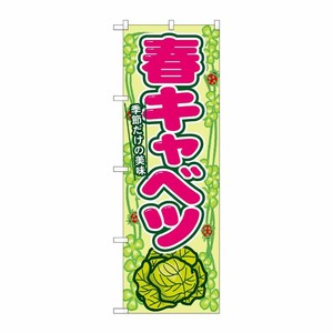 [N] 春キャベツ のぼり No.7871 P・O・Pプロダクツ