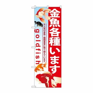 [G] 金魚各種います のぼり GNB-581 P・O・Pプロダクツ
