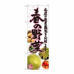 [N] 春の野菜 写真 のぼり No.21905 P・O・Pプロダクツ