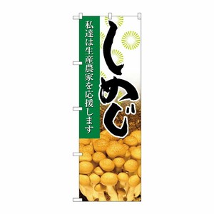 [N] しめじ 写真 のぼり No.21923 P・O・Pプロダクツ
