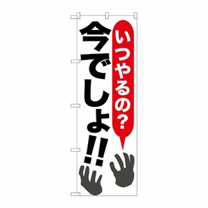 [G] いつやるの？今でしょ！！ のぼり SNB-1315 P・O・Pプロダクツ