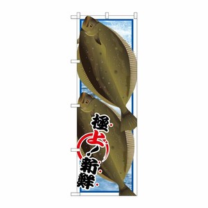 [G] ヒラメ 絵旗 のぼり SNB-1551 P・O・Pプロダクツ