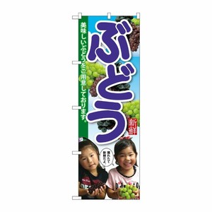 [G] ぶどう 子供写真 のぼり SNB-2201 P・O・Pプロダクツ