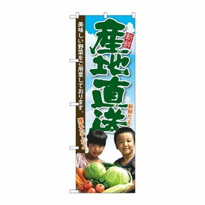 [G] 産地直送 子供写真 のぼり SNB-2205 P・O・Pプロダクツ