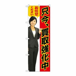 [G] 只今、買取強化中 のぼり GNB-2637 P・O・Pプロダクツ
