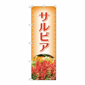[N] のぼり サルビア オレンジ 写真 OTM No.84227 P・O・Pプロダクツ