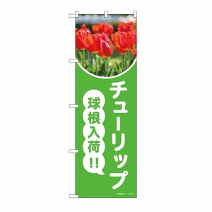 [N] のぼり チューリップ球根入荷 黄緑 写真 OTM No.84233 P・O・Pプロダクツ