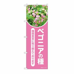 [N] のぼり ベゴニアの種 ピンク 写真 OTM No.84239 P・O・Pプロダクツ
