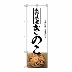 [G] のぼり きのこ 長野県産 SNB-7493 P・O・Pプロダクツ