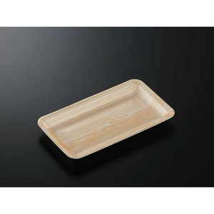 食品容器 トレー CN25-14E 木曽内(L) 中央化学 使い捨て 【サンプル可】