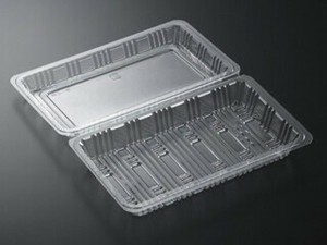 テイクアウト容器 フードパック 特2深 SE L 中央化学 使い捨て 【サンプル可】