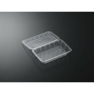 テイクアウト容器 フードパック 特中浅 SE 中央化学 使い捨て 【サンプル可】