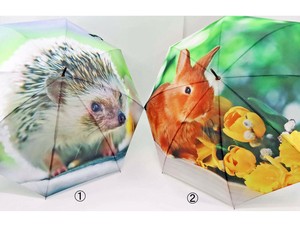 Umbrella Hedgehog Rabbit