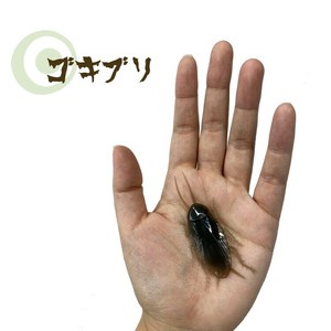 ゴキブリ おもちゃ パーティーグッズ ドッキリ