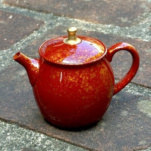 Tokoname ware Japanese Teapot Tea Pot Made in Japan