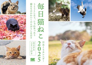 毎日猫ねこ 日めくりカレンダー 2025