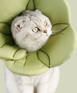 《 aimoha home 》フラワー型エリザベスカラー 猫 犬 ペット 花形 フラワー かわいい