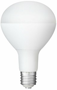 【アイリスオーヤマ　投光器　LED】　LED投光器用交換電球　3000lm