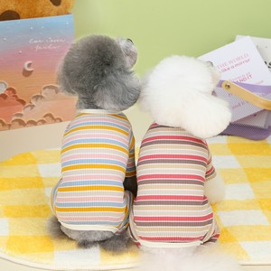 Dog Clothes