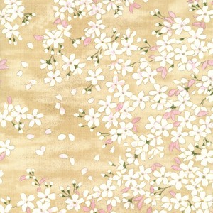 棉布 5颜色