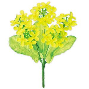 ニュー菜の花ブッシュ