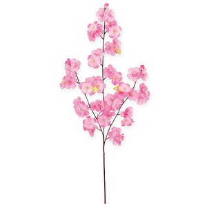 大桜スプレー中（3本枝）