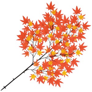 もみじ大枝（オレンジ）