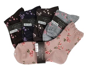 No Show Socks Socks
