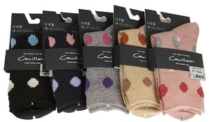No Show Socks Socks