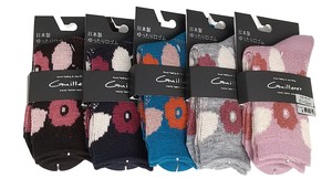 No Show Socks Socks 2-colors
