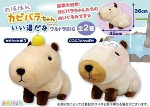 Animal/Fish Plushie/Doll Stuffed toy Ultra BIG Nohohon Kapibara-chan