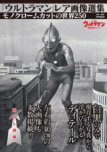 收藏/玩具书籍