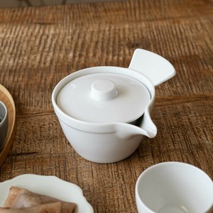 Mino ware Japanese Teapot with Tea Strainer Japanese Tableware White Tea Pot Made in Japan